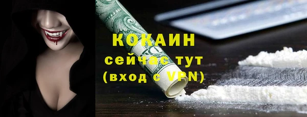 трава Бородино