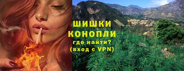 трава Бородино