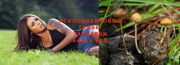 прущий лед Верея
