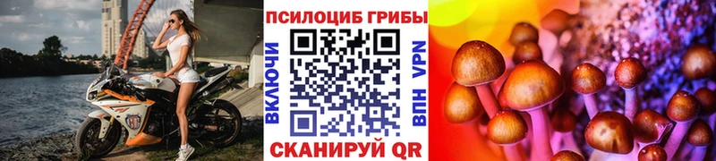 Псилоцибиновые грибы ЛСД  кракен ссылки  Губаха  даркнет сайт 